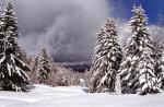 Massif du Mont-Blanc
