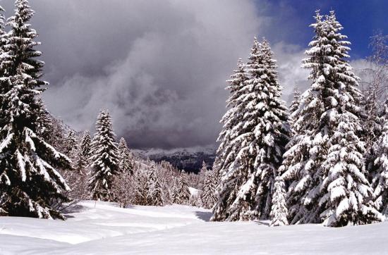 Massif du Mont-Blanc