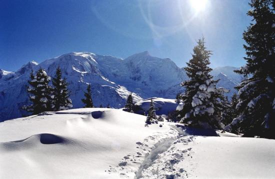 Massif du Mont-Blanc