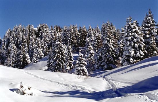 Massif du Mont-Blanc