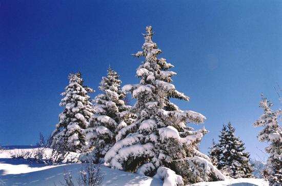 Massif du Mont-Blanc