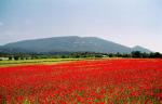 Provence