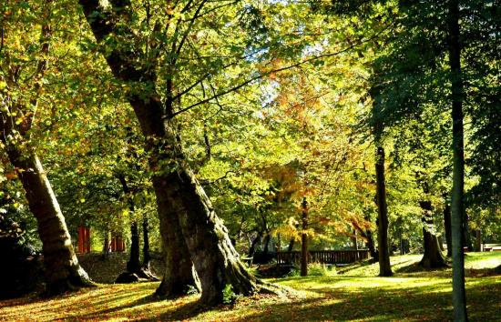 Parc de Livry-Gargan