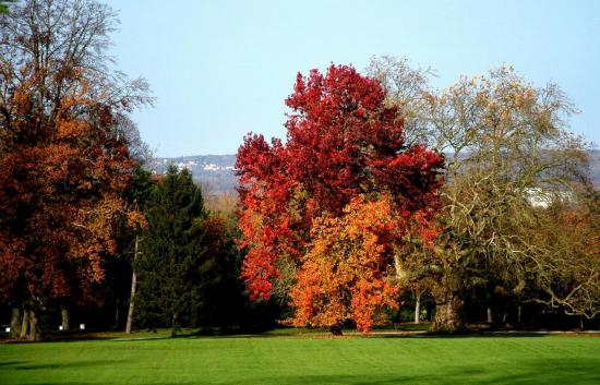 Parc de Rentilly