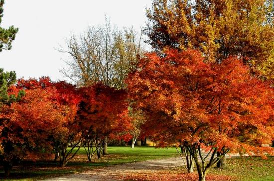 Parc de Rentilly