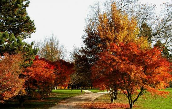 Parc de Rentilly