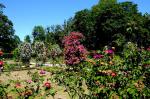 Abbaye de Chaalis