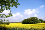 Montgé-en-Goele