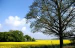 Montgé-en-Goele