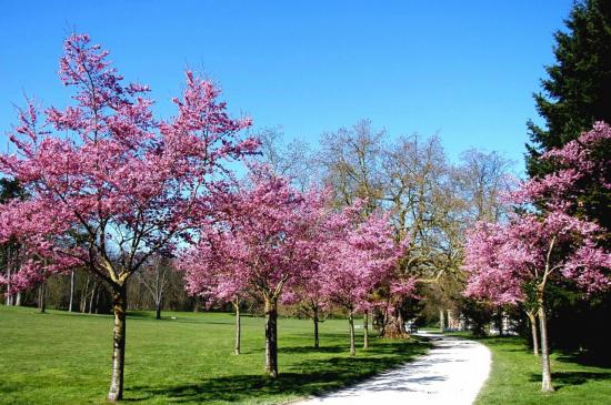 Parc de Rentilly