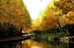 Canal de l'Ourcq