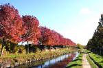 Canal de l'Ourcq