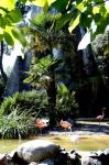 Zoo de la Palmyre