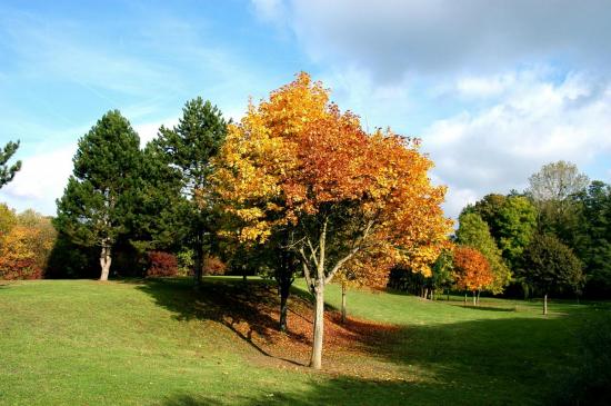 Parc de Gréssy