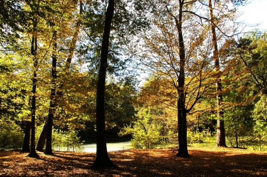 Parc de la Poudrerie