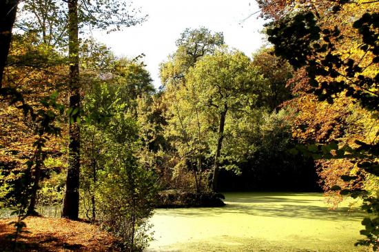 Parc de la Poudrerie