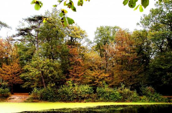 Parc de la Poudrerie