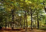 Parc Jean-Jacques Rousseau