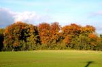 forêt d'Ermenonville