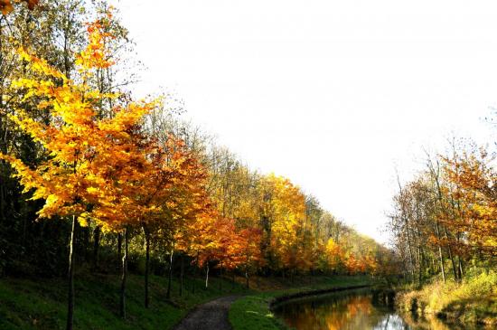 Canal de l'Ourcq