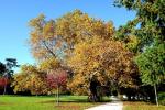 Parc de Rentilly