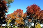 Parc de Rentilly