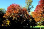 Parc de Rentilly
