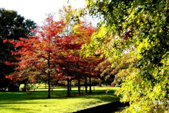 Parc de Gréssy