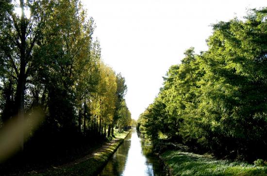 Canal de l'Ourcq