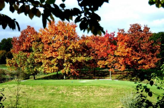 Parc de la Poudrerie de Vaujours