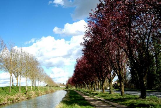 Canal de l'Ourcq