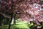 Annet sur Marne