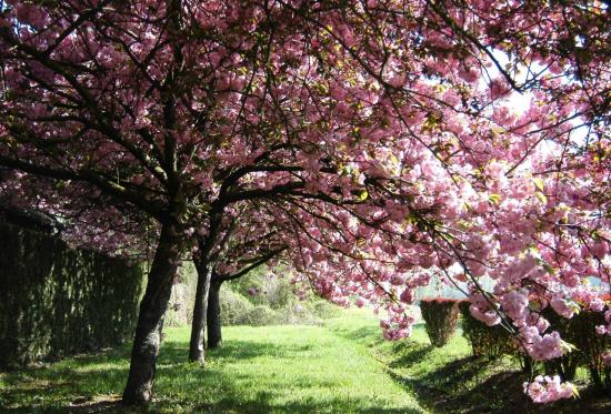 Annet sur Marne