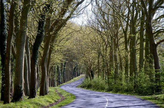 route du Bois des Tillières