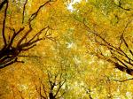 DSCN0058