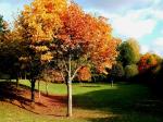 Parc de Gréssy