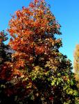 DSCN0240