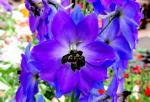 DSCN0445