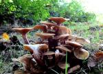 DSCN0843