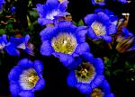 DSCN0858