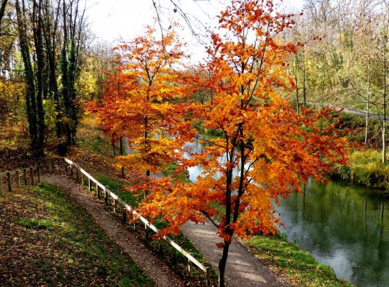 Canal de l'Ourcq