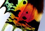 DSCN3482