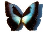 DSCN3655