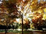 Parc de Rentilly
