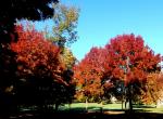 Parc de Rentilly