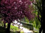 Canal de l'Ourcq