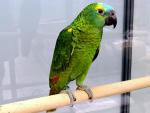 DSCN6679
