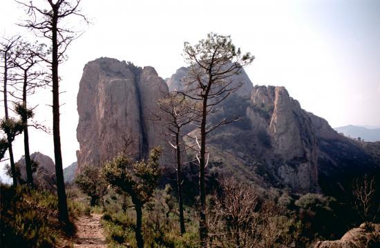 Massif de l'Estérèl