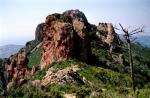 Massif de l'Estérèl