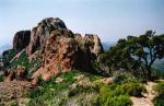 Massif de l'Estérèl
